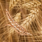 Брошь из золота