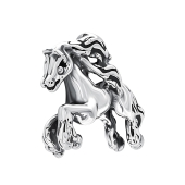 Подвеска из серебра с чернением 